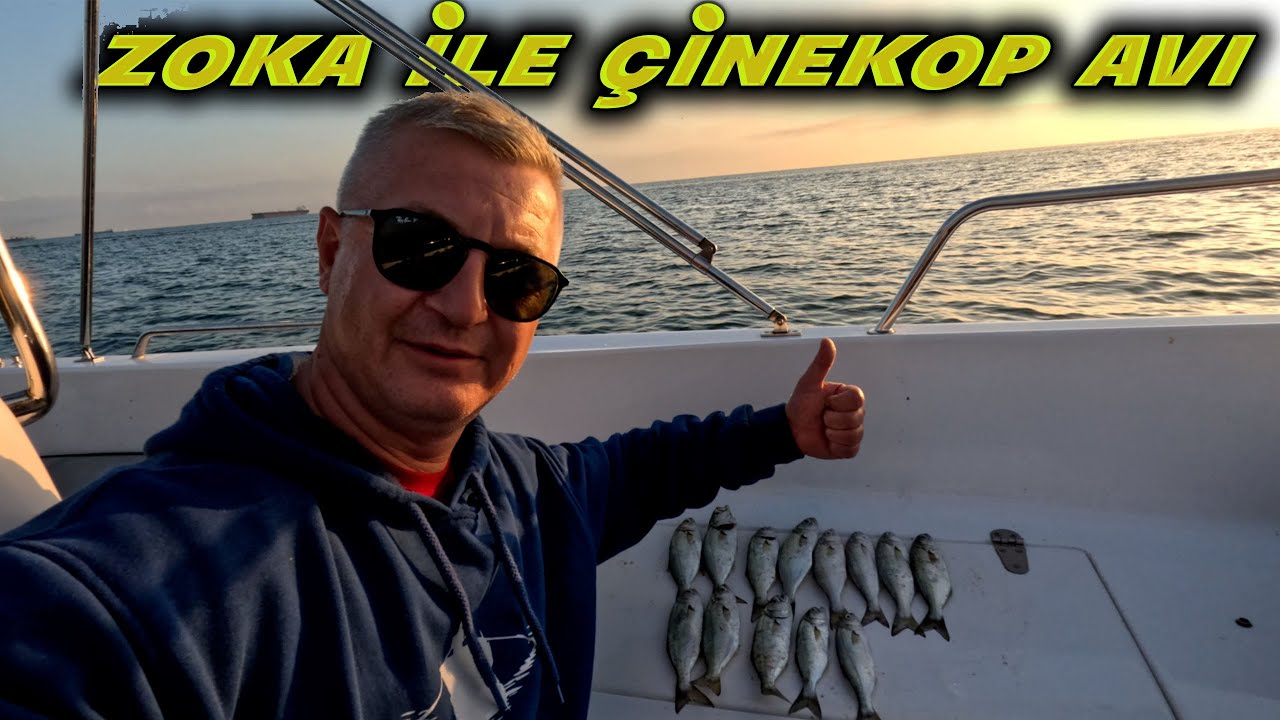 YEMLİ ÇİNEKOP., SARIKANAT AVI - TEKNEDEN ZOKA İLE ÇİNEKOP AVI - KARADENİZ ÇİNEKOP AVI -  SARIKANAT