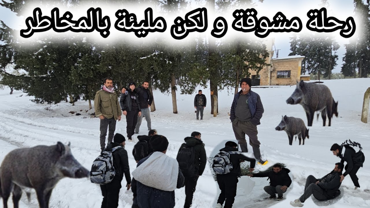 بسبب الثلوج الكثيفة و إنقطاع الطرق | رحلة مليئة بالمخاطر خنازير برية والذئاب