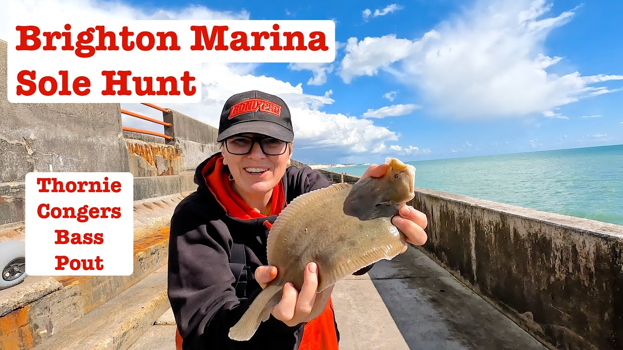 Mixed Species Fishing at Brighton Marina