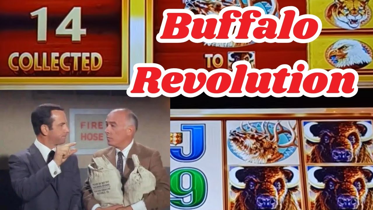Большая победа Buffalo Gold Revolution