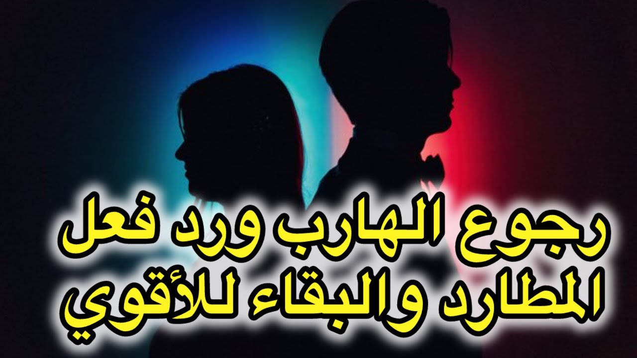 حال الهارب|قلبه بيتقطع من غيرك💔هصدمك برجوعه|عرف قيمتك💯طاقه المطارد|النجم⭐️|طاقه الهارب|توأم الشعلة