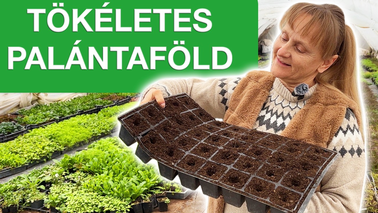 A palántanevelés alapja a jó föld 🌱✨ Így készül a tökéletes bio palántaföld