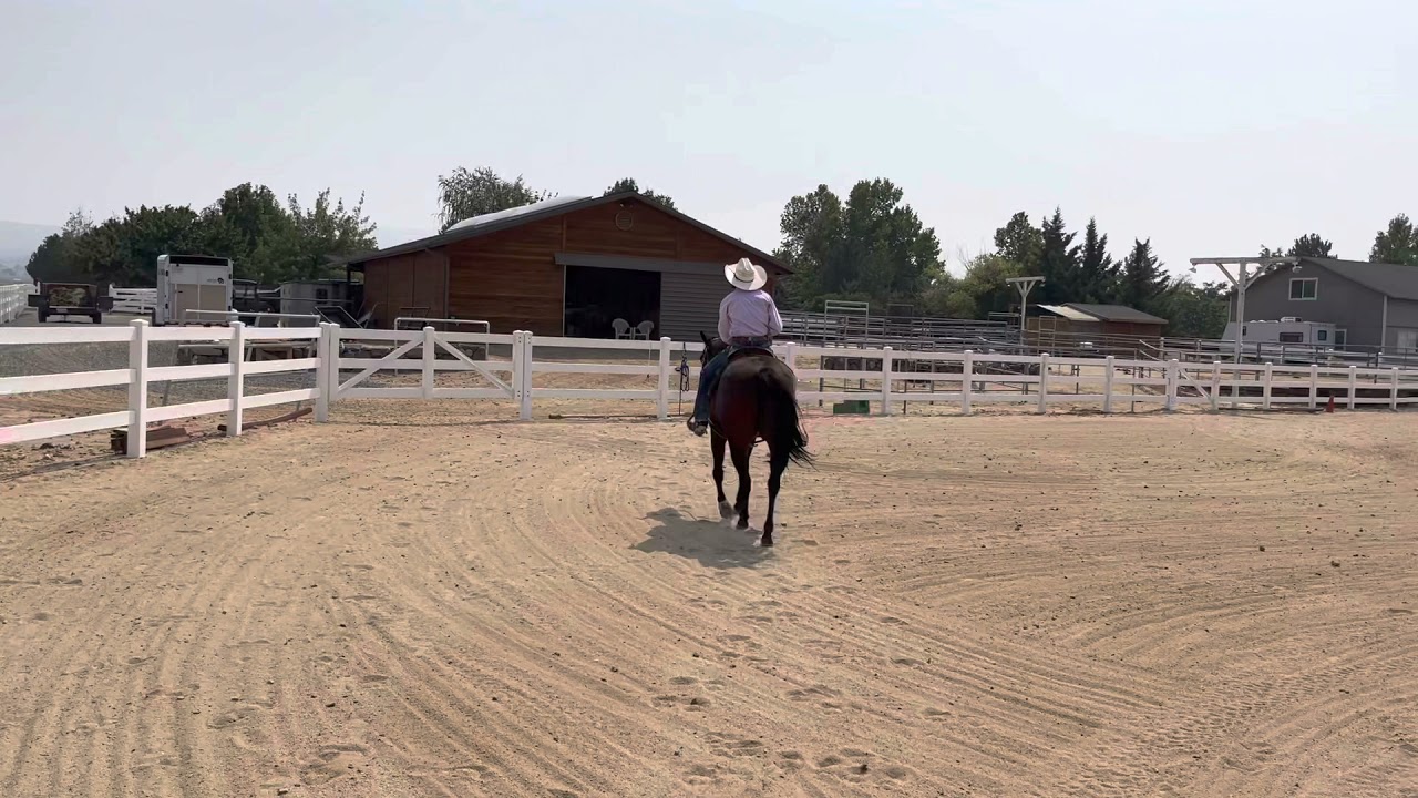 Ranch Riding Pattern 4