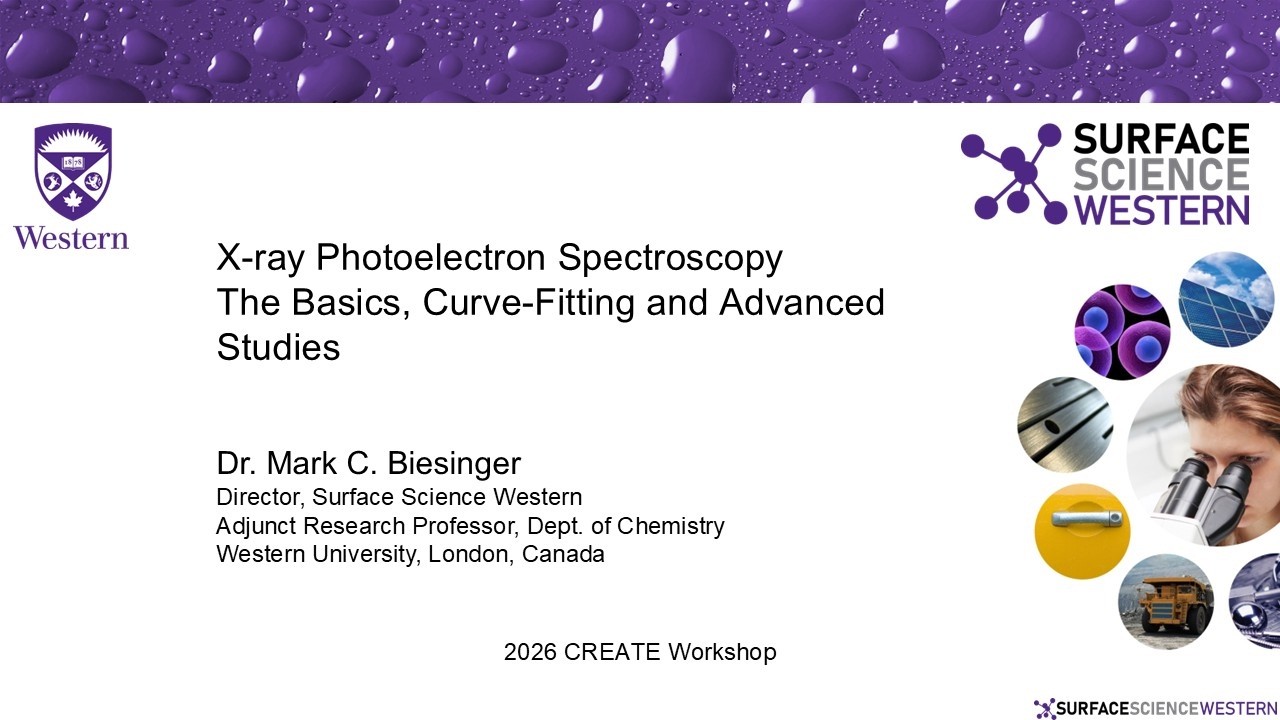 2026 CORRECT XPS Workshop 720p