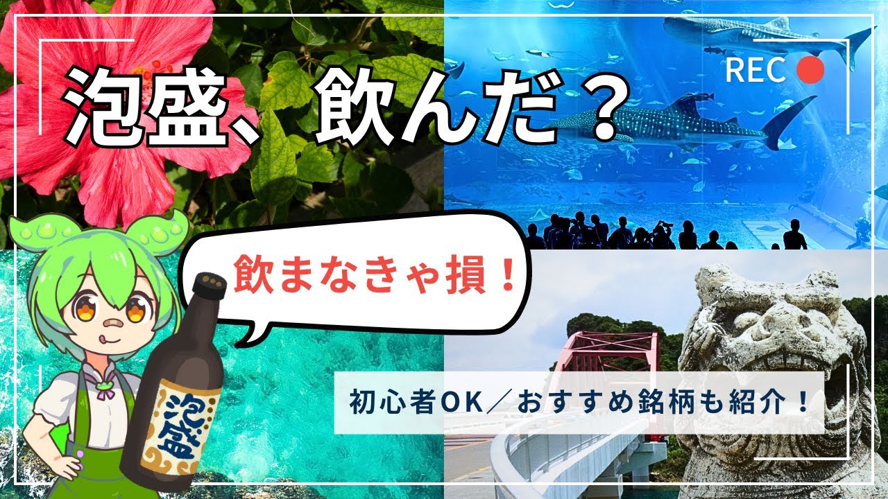 【真実】泡盛を知らないまま帰るなんて、沖縄旅行“半分損”してる！