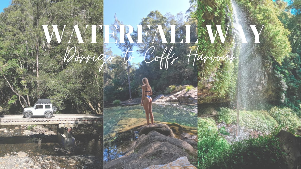 WATERFALL WAY 💦 Dorrigo to Coffs Harbour
