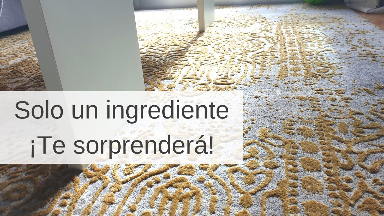 C&oacute;mo limpiar MANCHAS DIF&Iacute;CILES en la ALFOMBRA