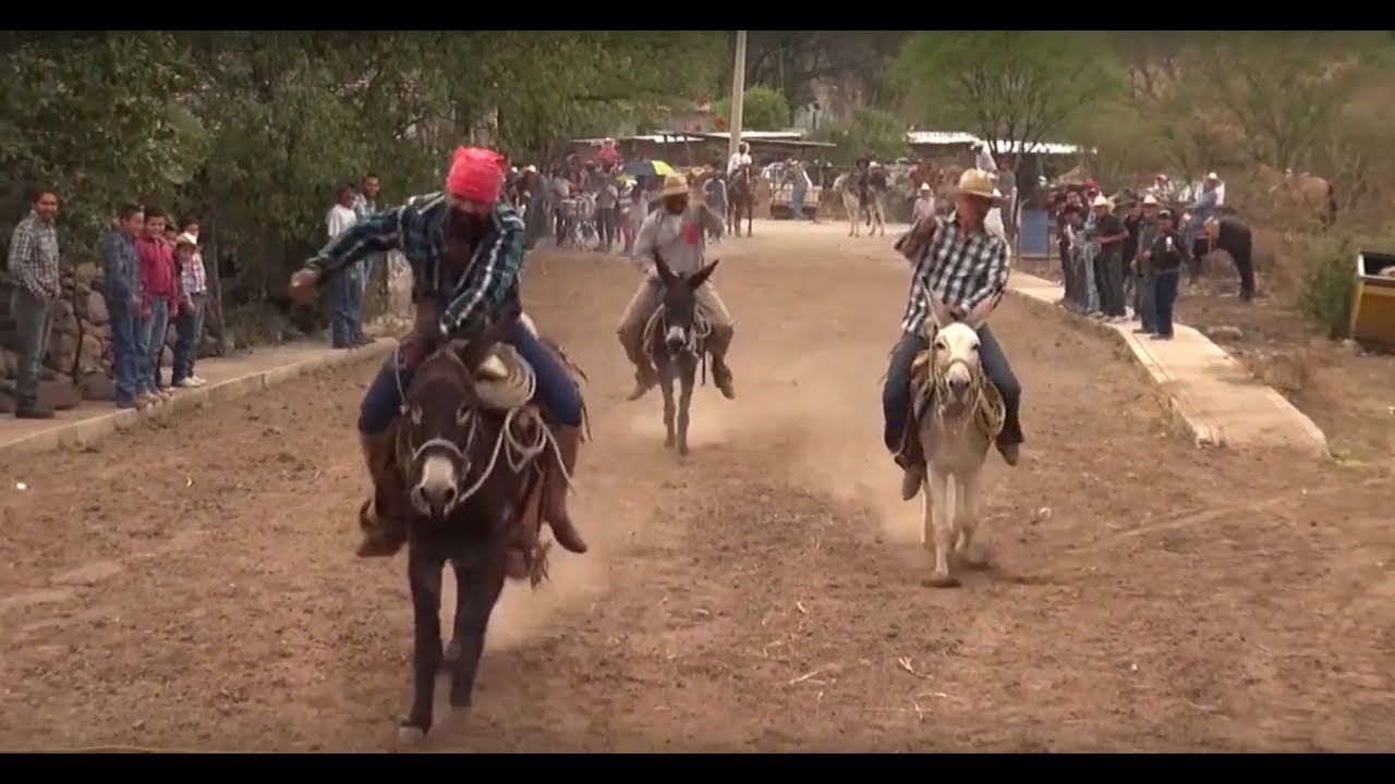 Carreras de Burros y a Pie