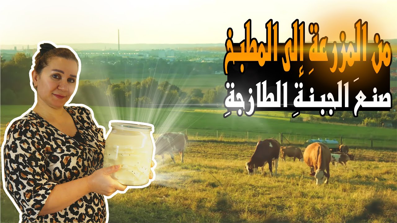 🍶 من الحليب إلى الجبنة: خطوة بخطوة! 🐮🧂
