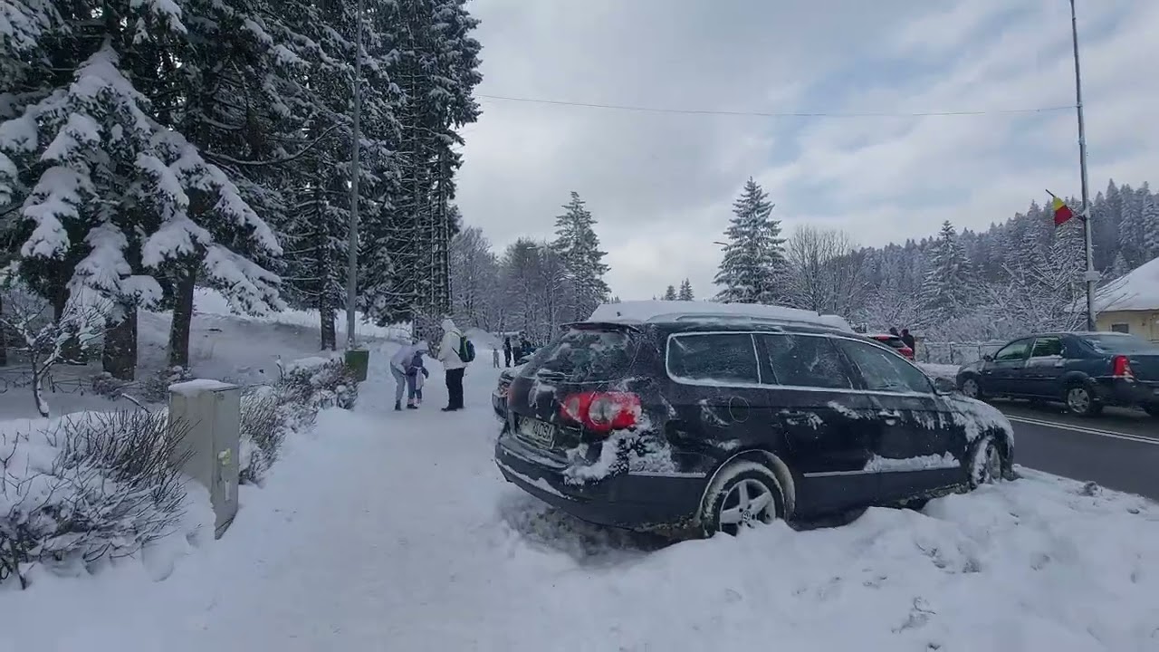 🔴Live 24.01.2022 🌨Predeal la Pas - ❄Peisaj mirific ❄/ Prima ninsoare ADEVARATA💯❤