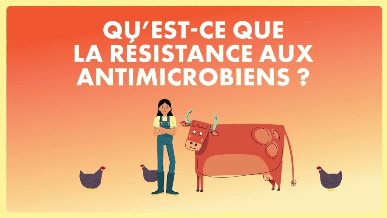 Qu'est-ce que la résistance aux antimicrobiens (RAM) ?