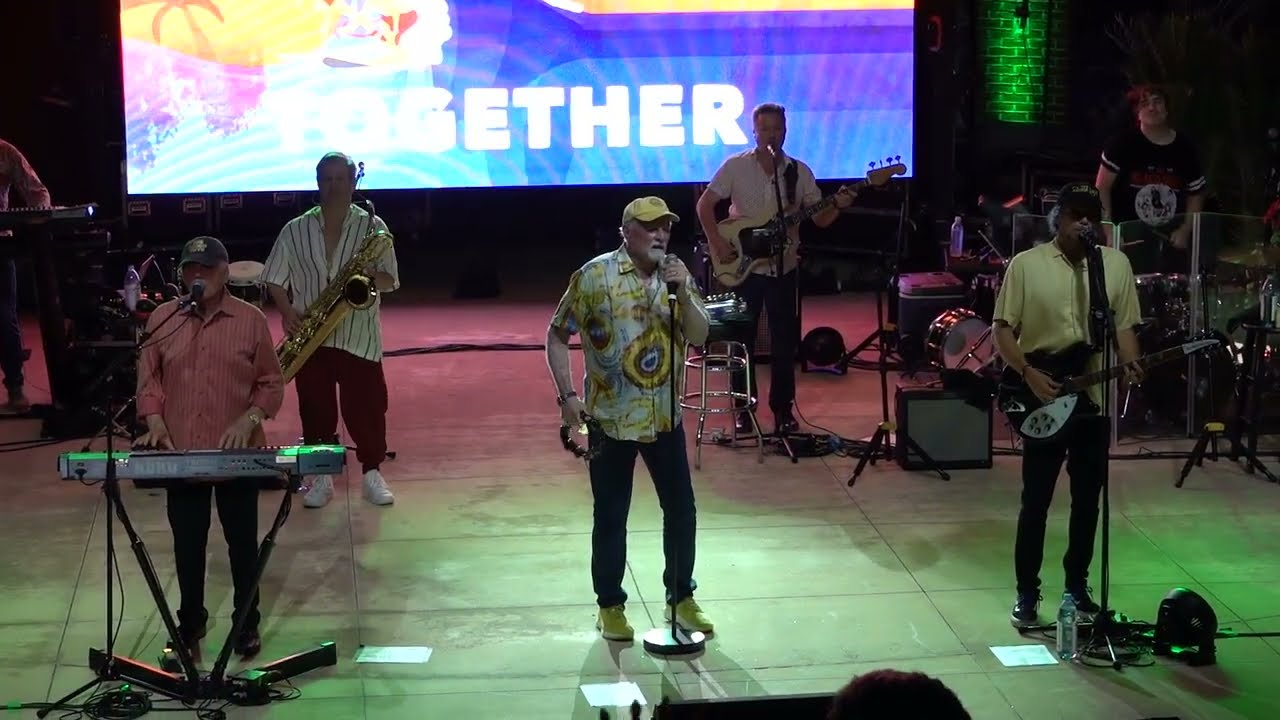 The Beach Boys - Wouldn't It Be Nice