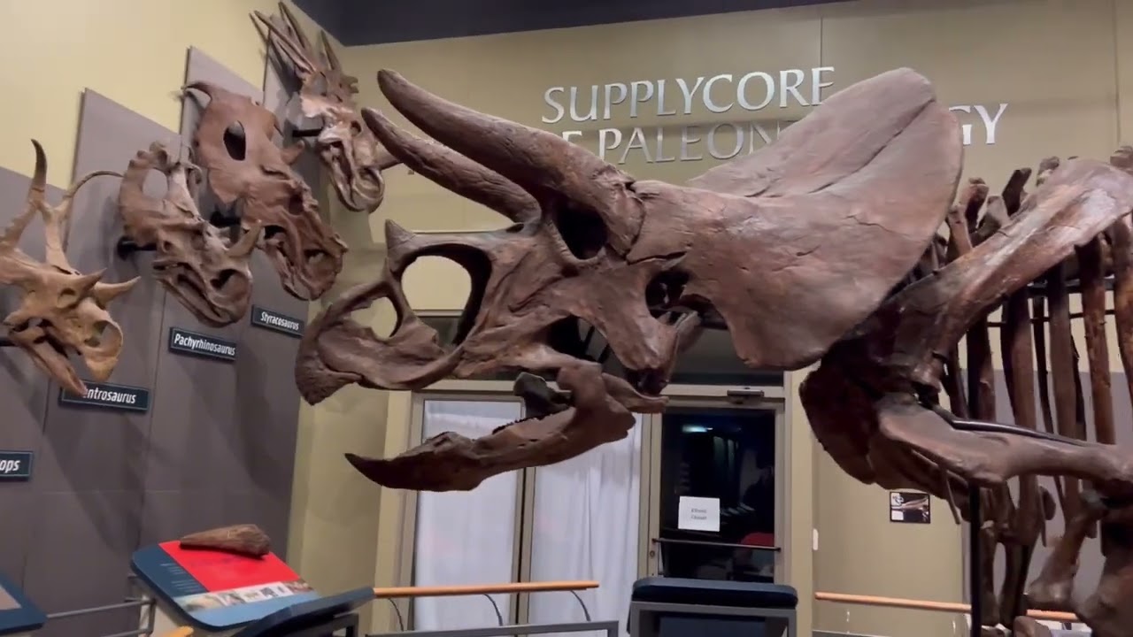 Burpee Museum in Rockford, IL