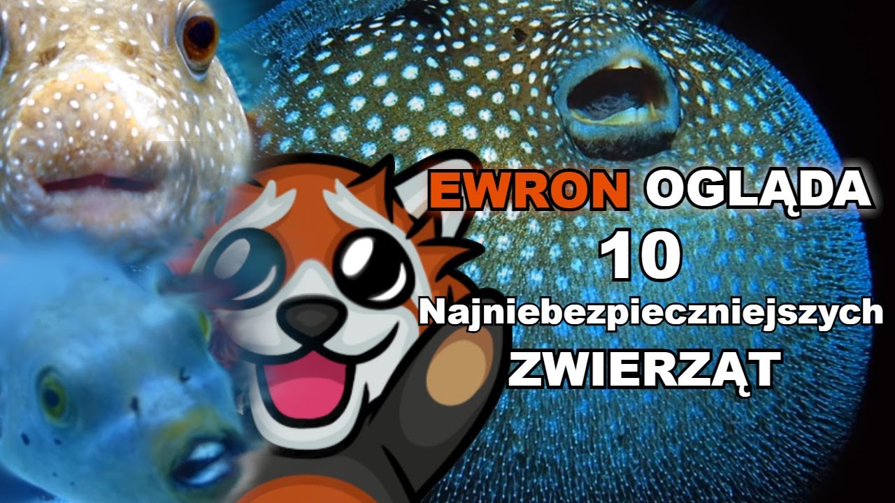 Ewron ogląda 10 Najniebezpieczniejszych ZWIERZĄT! + CZAT