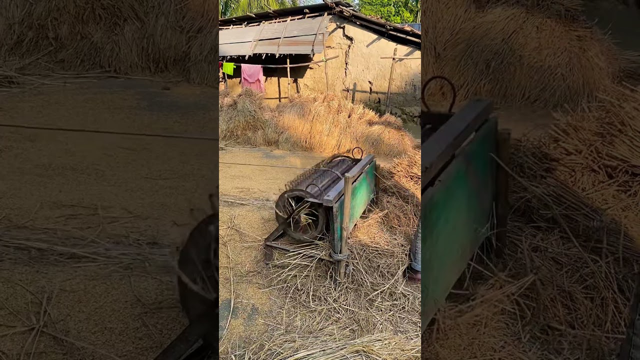Mini  hand made thresher machine | paddy will ready cheap cost