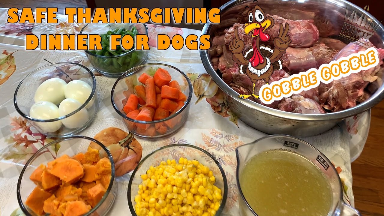 THANKSGIVING DINNER FOR DOGS, Foods dogs can eat for thanksgiving; AKC Approved foods for dogs