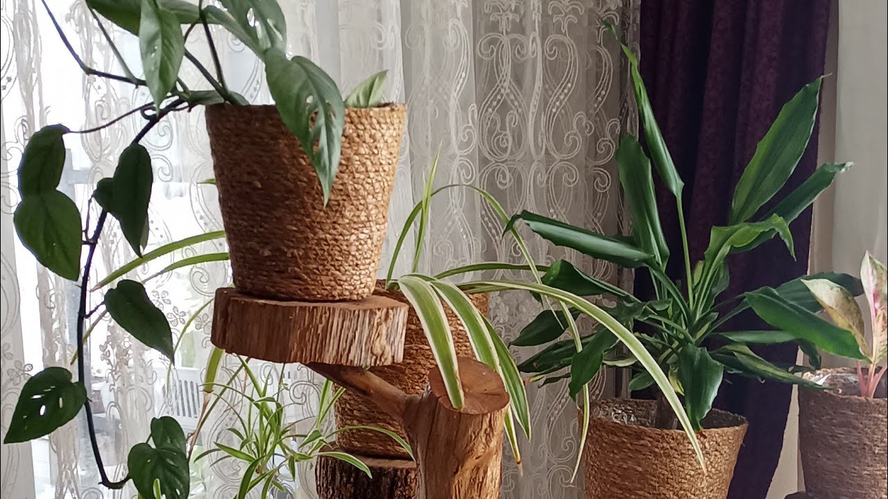 Bütün ciceklerimi çektim uzun video iyi seyirler 🌺🌹💐