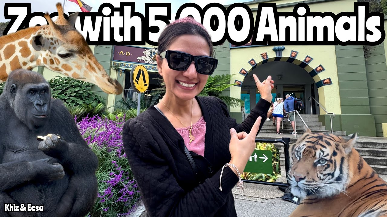Inside Australia’s MOST FAMOUS Zoo - Ultimate Taronga Zoo Sydney Tour with 5,000 Animals 