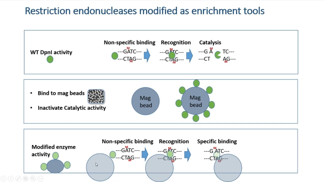 Using qPCR to Validate Epigenetic Enrichment of Pathogen DNA