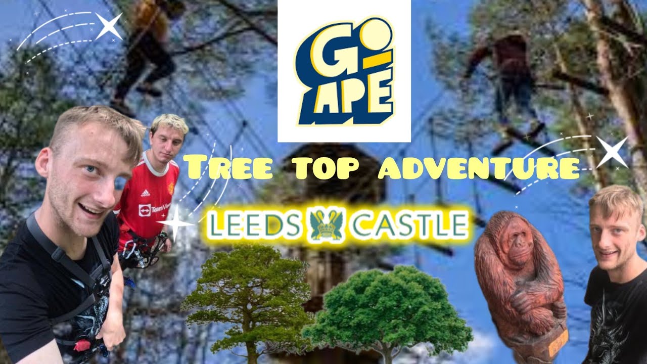 The ultimate tree top adventure at Go Ape Leeds Castle 