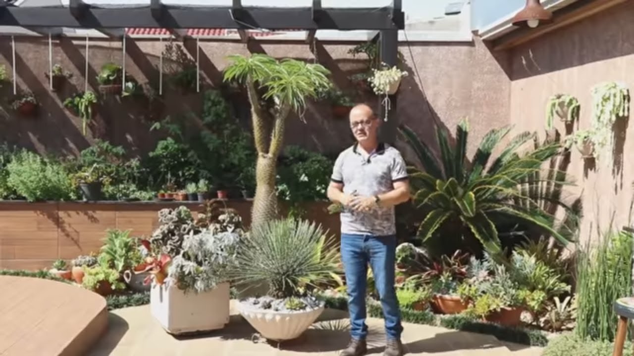 UM INCRÍVEL JARDIM COM MUITAS SUCULENTAS  #TOUR