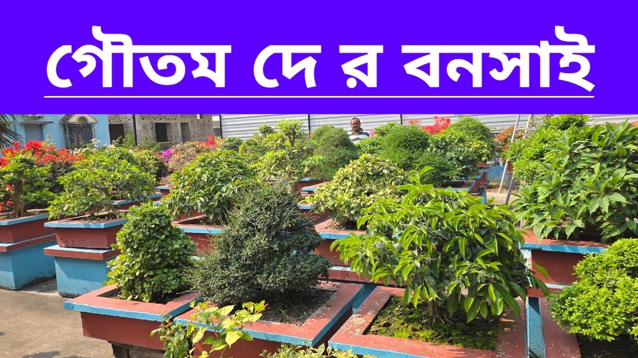 গৌতম দে র বনসাই || Bonsai Of Goutam Dey ||