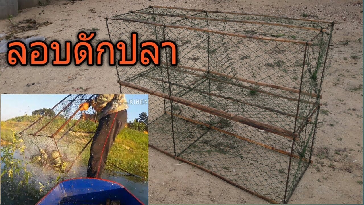 วิธีทำลอบดักปลา ดักปลานิลและปลาอีกหลายชนิด