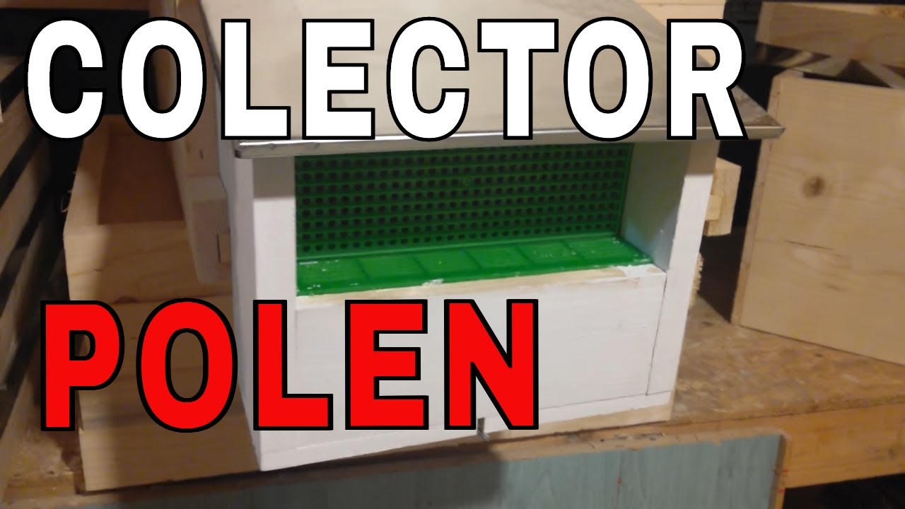 Colectoare polen - Apicultura la noi acasa BEE VLOG
