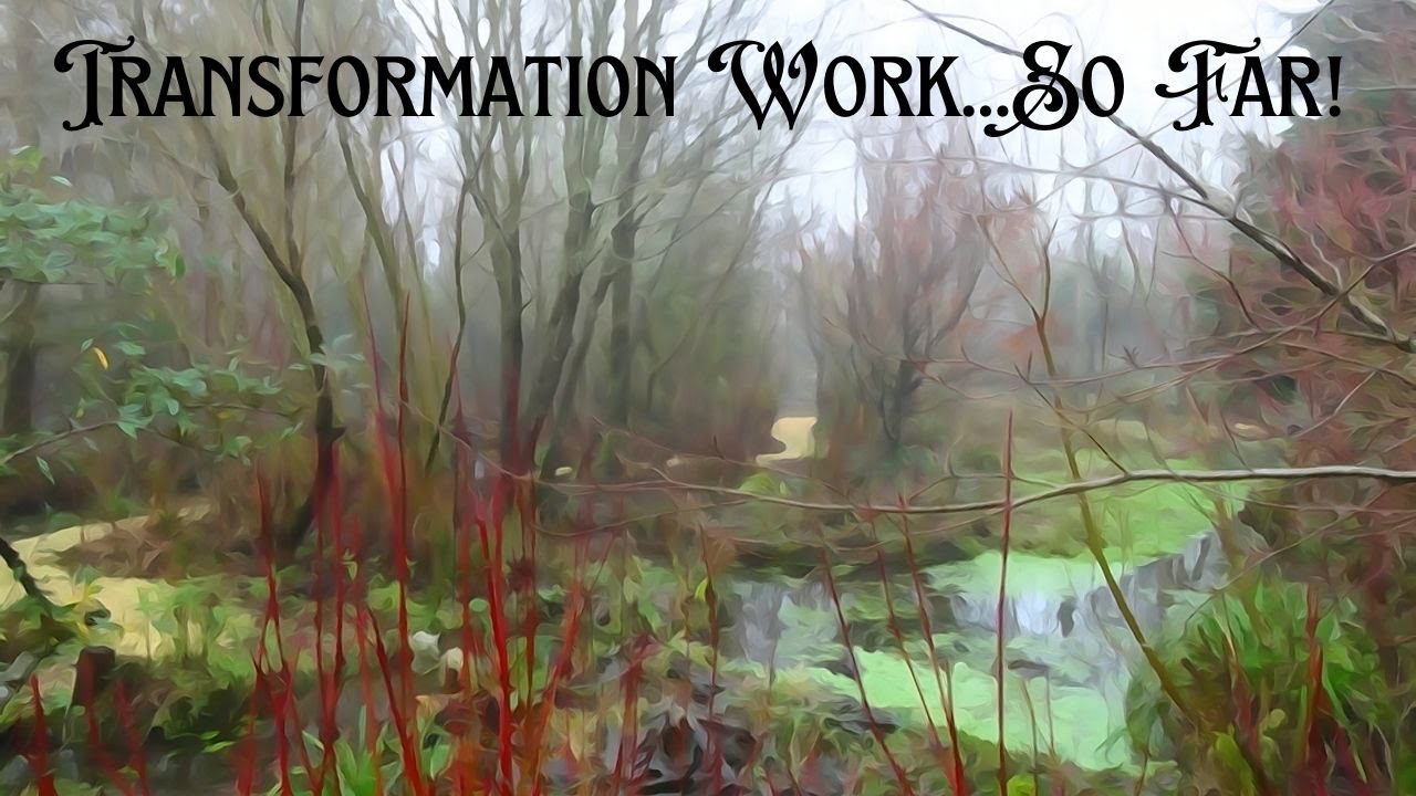 Transformation Work...So Far!