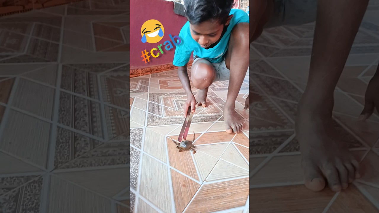 fishing video | crab fishing | #crab #khekda #chimbori #crabcatching #shorts #ytshots #shortsfeed