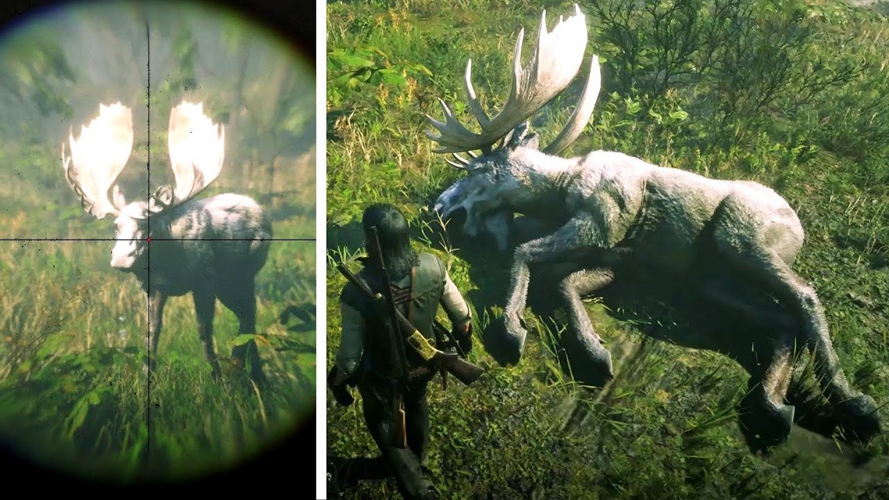 صيد الغزال الأسطوري العملاق في لعبة ريد ديد ريدمبشن 2 | RDR2 Legendary Moose Hunt