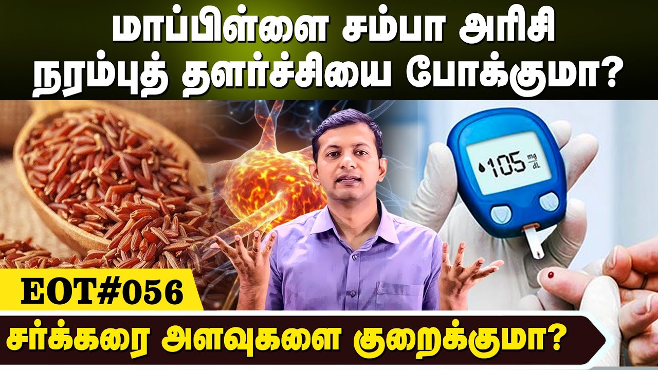 மாப்பிள்ளை சம்பா அரிசி நரம்புத் தளர்ச்சியை போக்குமா? சர்க்கரை அளவுகளை குறைக்குமா? | Dr. Arunkumar