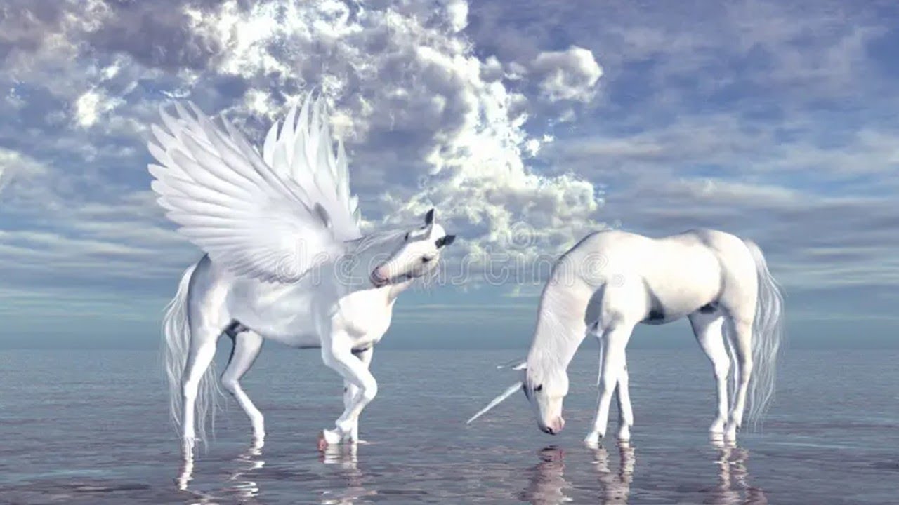 ¿Cuál es la diferencia entre UNICORNIO y PEGASO?