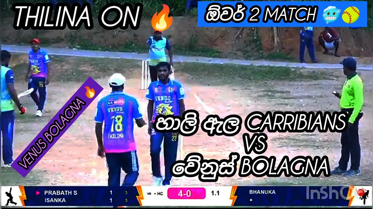 හාලි ඇල VS වේනුස් 🥶🥎🔥 #cricket #indiavssrilankat20hig #cricket #lankasoftballcricket #cricketlover 