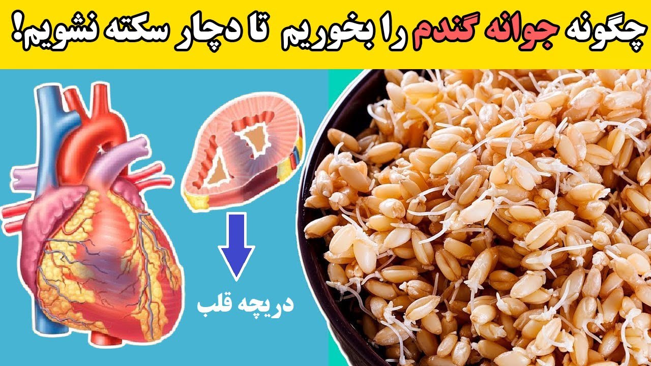 چگونه جوانه گندم را بخوریم تا از این بیماری ها جلو گیری کنیم!