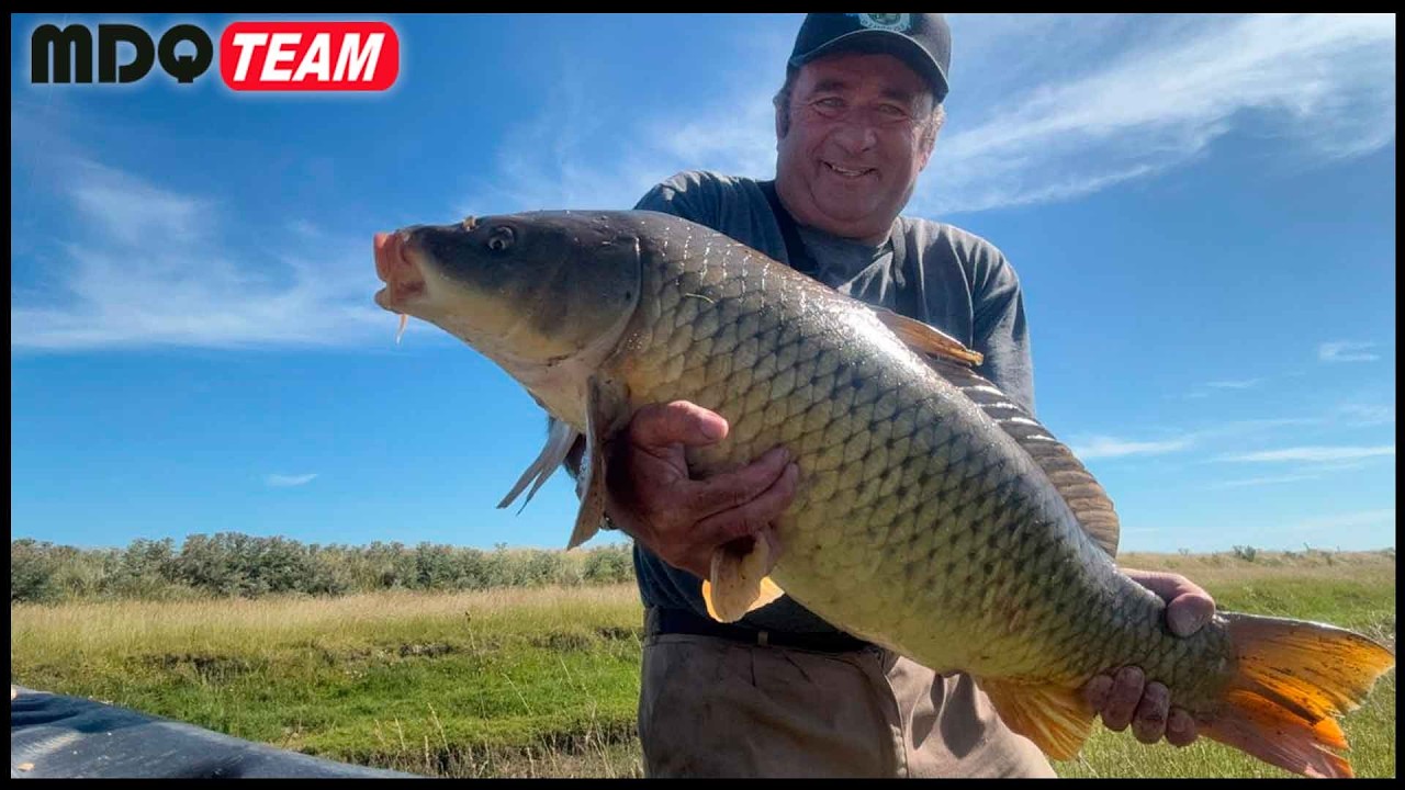 CARPA RECORD LE CALCULO MAS DE 12 KILOS