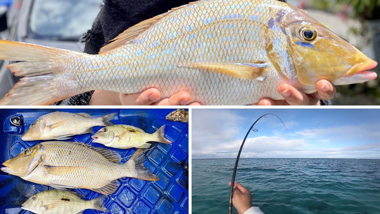 Ep#11- Summer 2021 - Kayak Fishing at Mont Choisy- Fishing Beach Mauritius