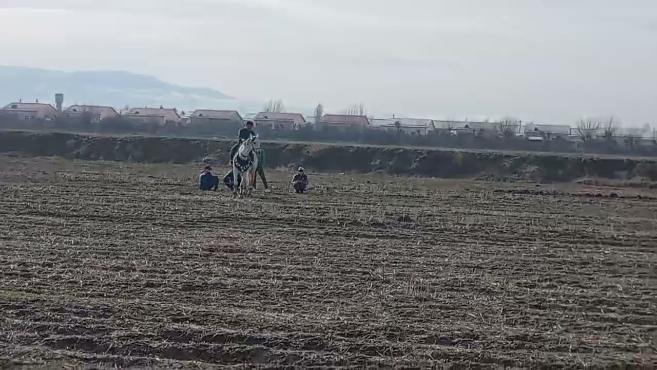 8 февраля 2026 г.