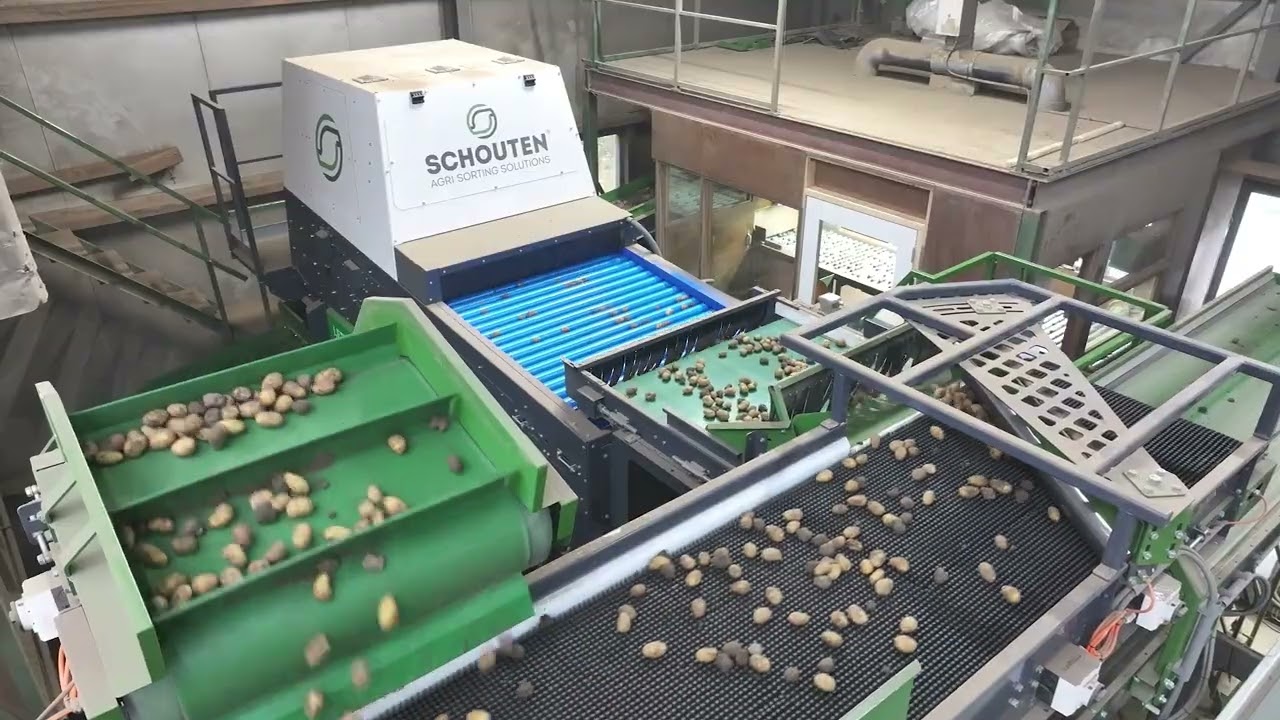 Optisch sorteren met Tolsma Grisnich - Schouten Optica Q vd Manacker