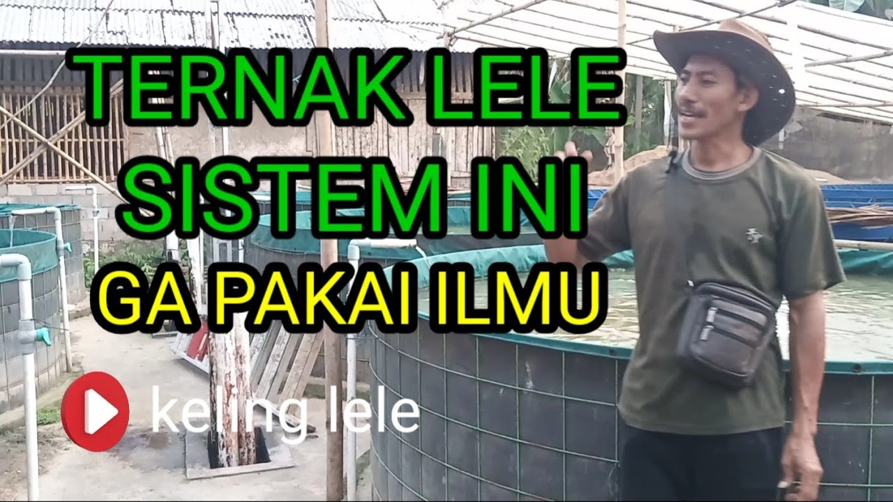 1.kolam 3.kuintal anti ribet sistem kocor paling mudah #@kelinglele