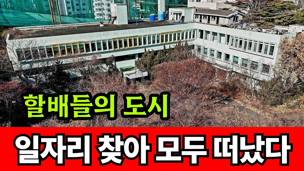 출산율 꼴지인 노인들의 도시 ☆ 부산 청년은 진상품