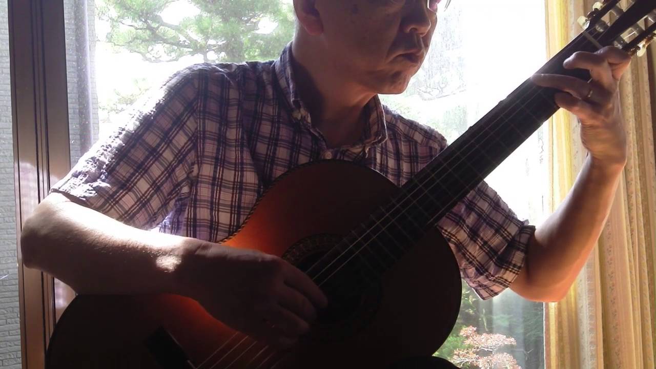 ソング・オブ・ライフ（ギターソロ） Song Of Life(guitar solo)