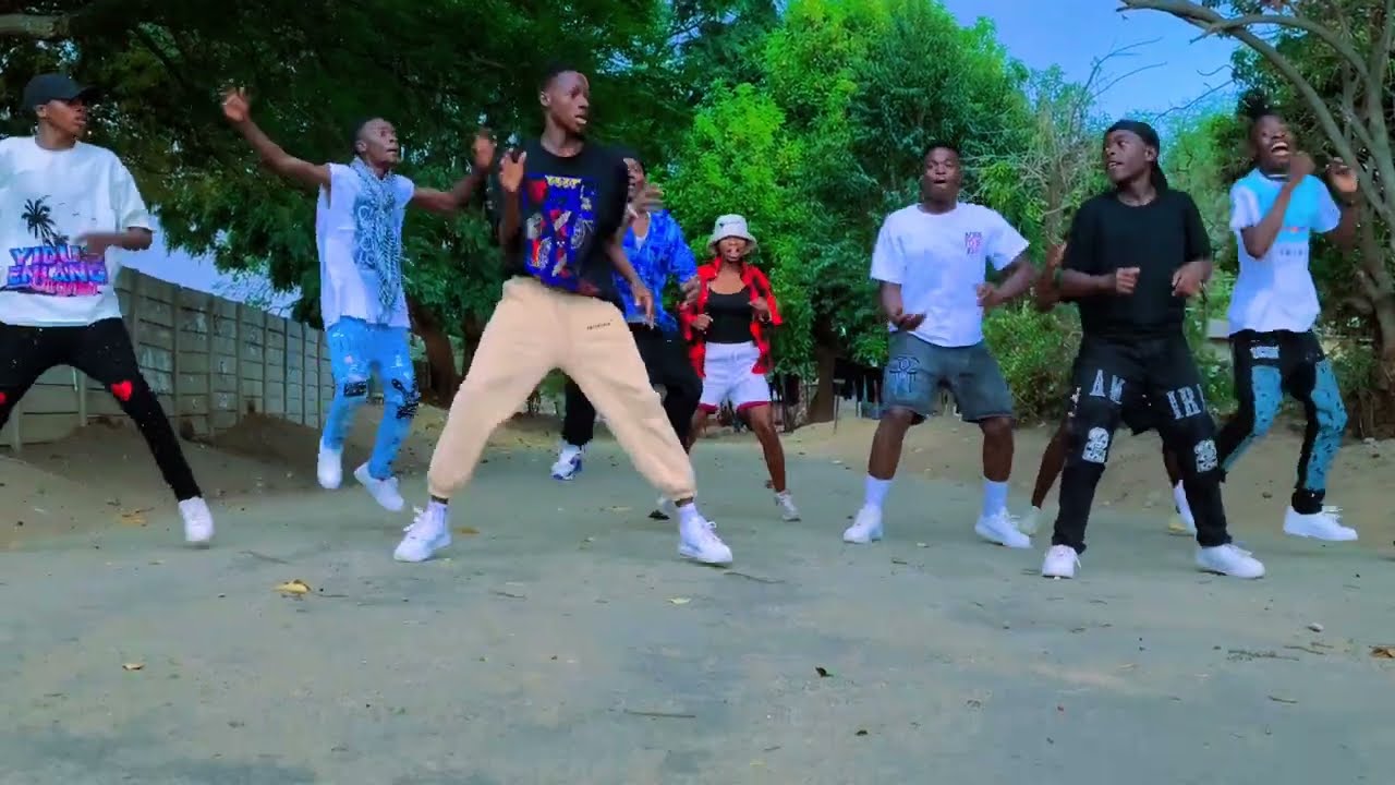 Freeman HKD - Muchandinzwawo (official dance Visual)#trending
