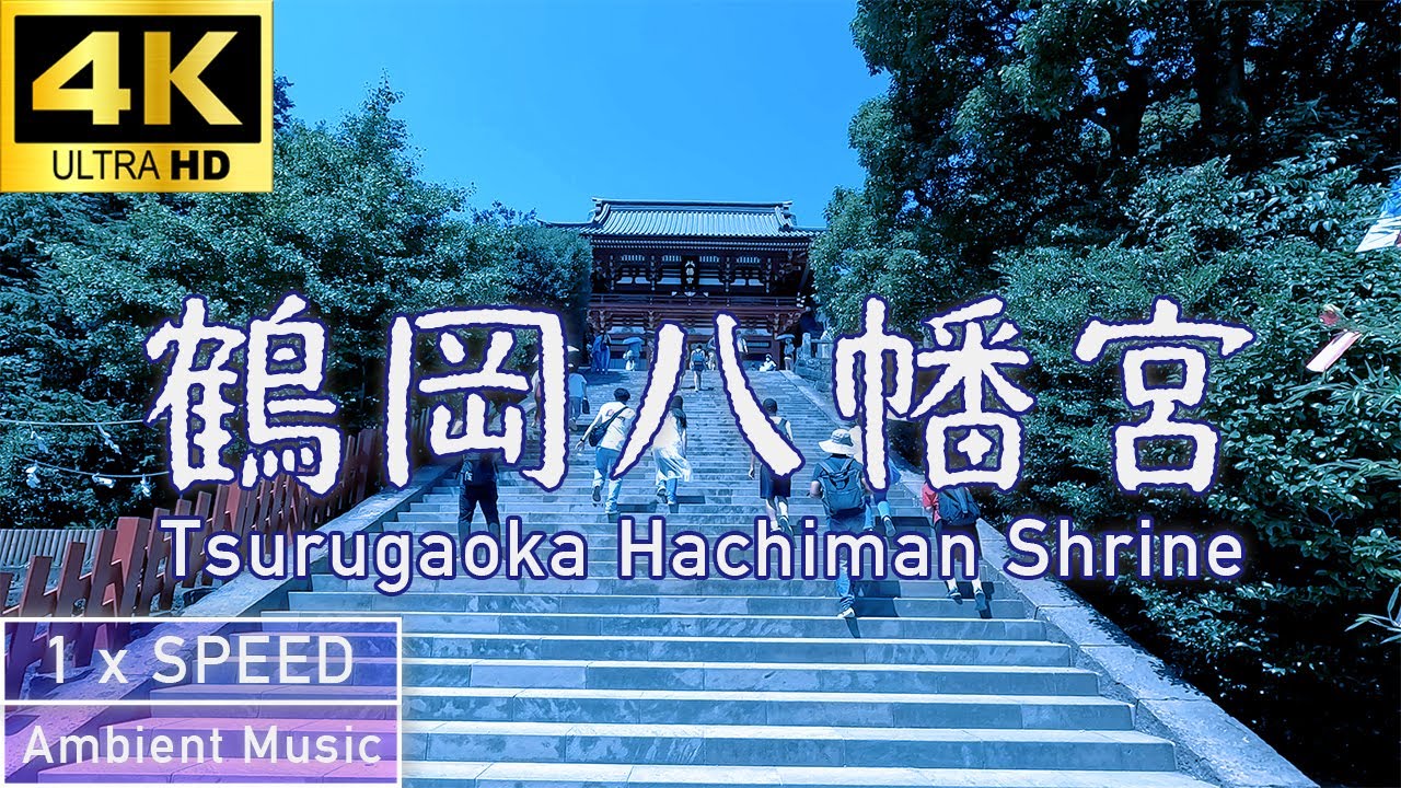 4K 鎌倉散歩「鶴岡八幡宮」 本宮へと続く参道をお散歩 Tsurugaoka Hachiman Shrine