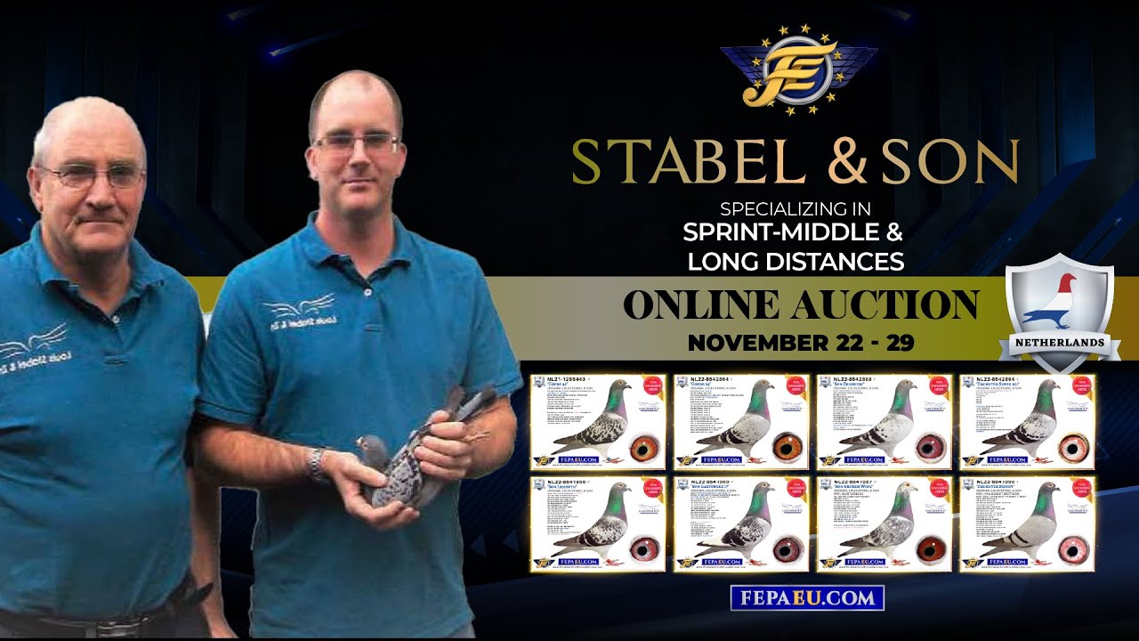 STABEL & SON LOFT TOUR (2023)