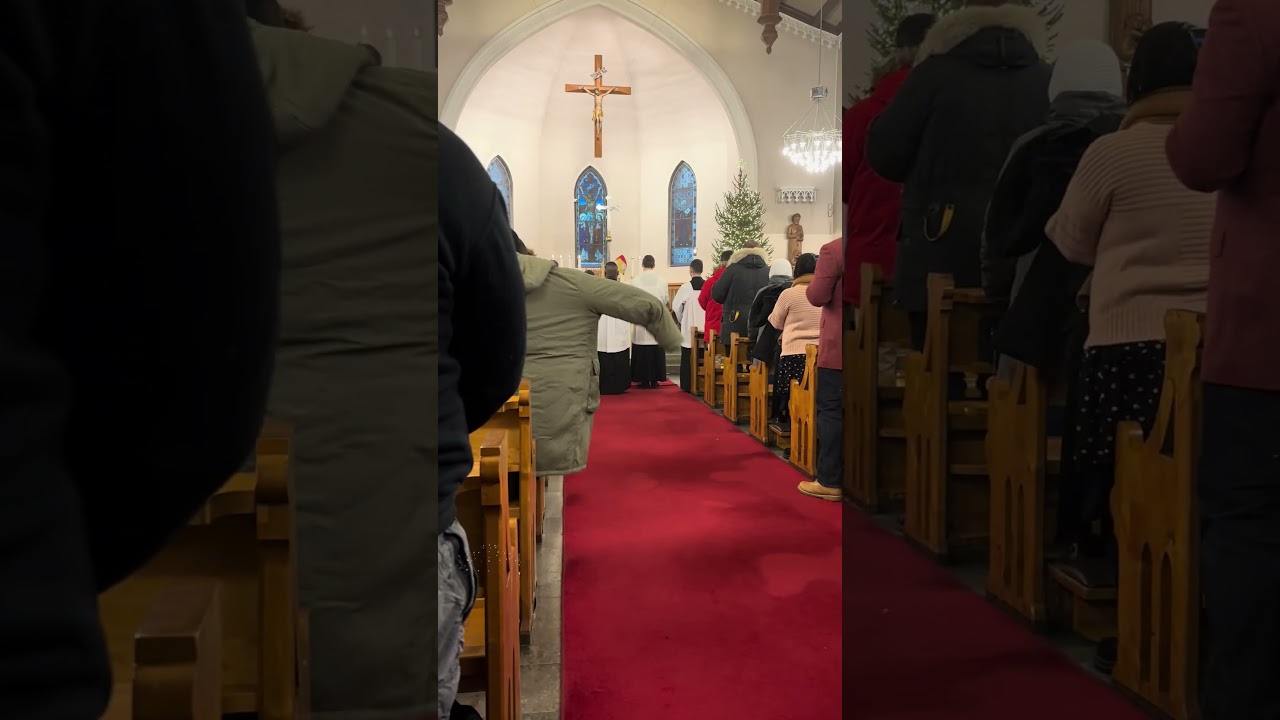 Feast of the Baptism of the Lord @ St. Henry Cathedral Helsinki Finland