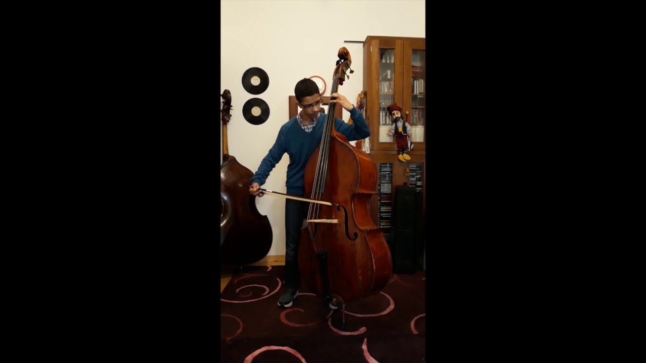 2019 Galicia Graves International Double Bass Junior Competition/ Diego Rodríguez
