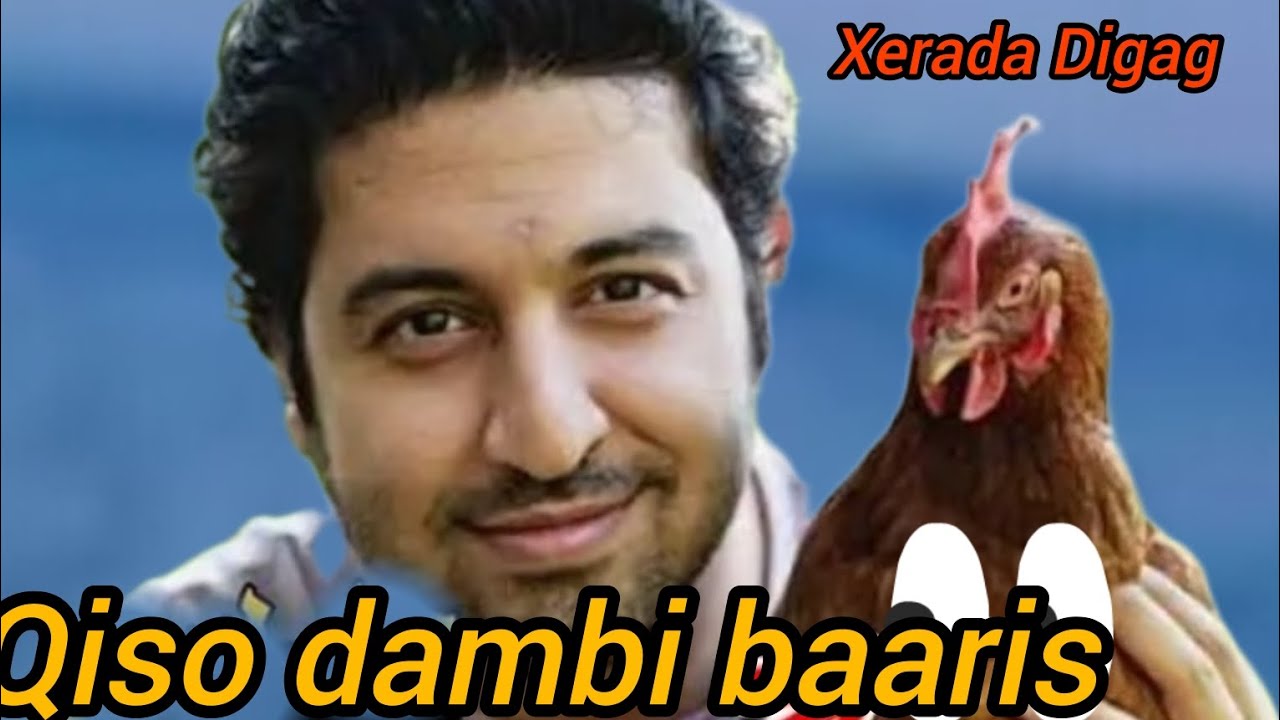 #Qiso dambi baaris ah xerada digaaga 🪿@hafsabilanqis