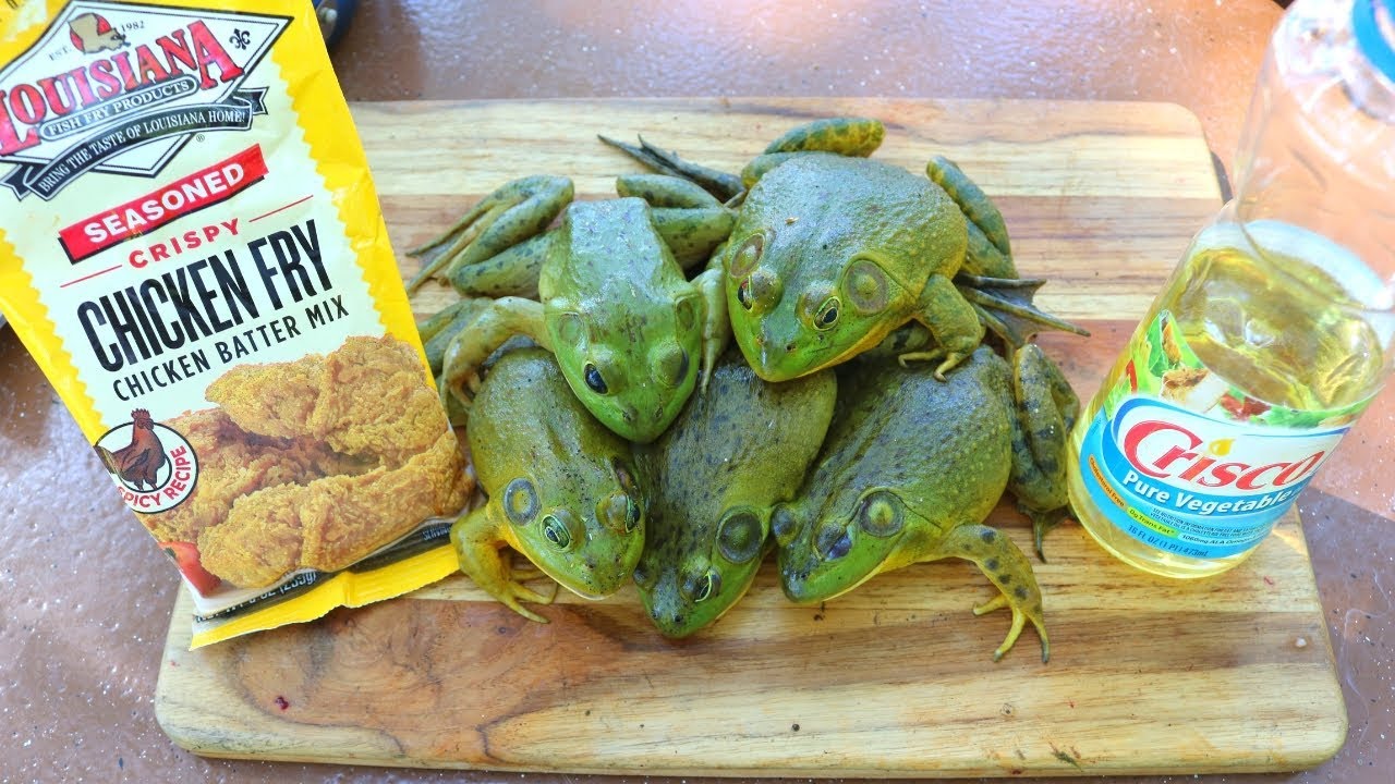 Chicken Fried Frog Legs - Catch n' Cook Bullfrogs