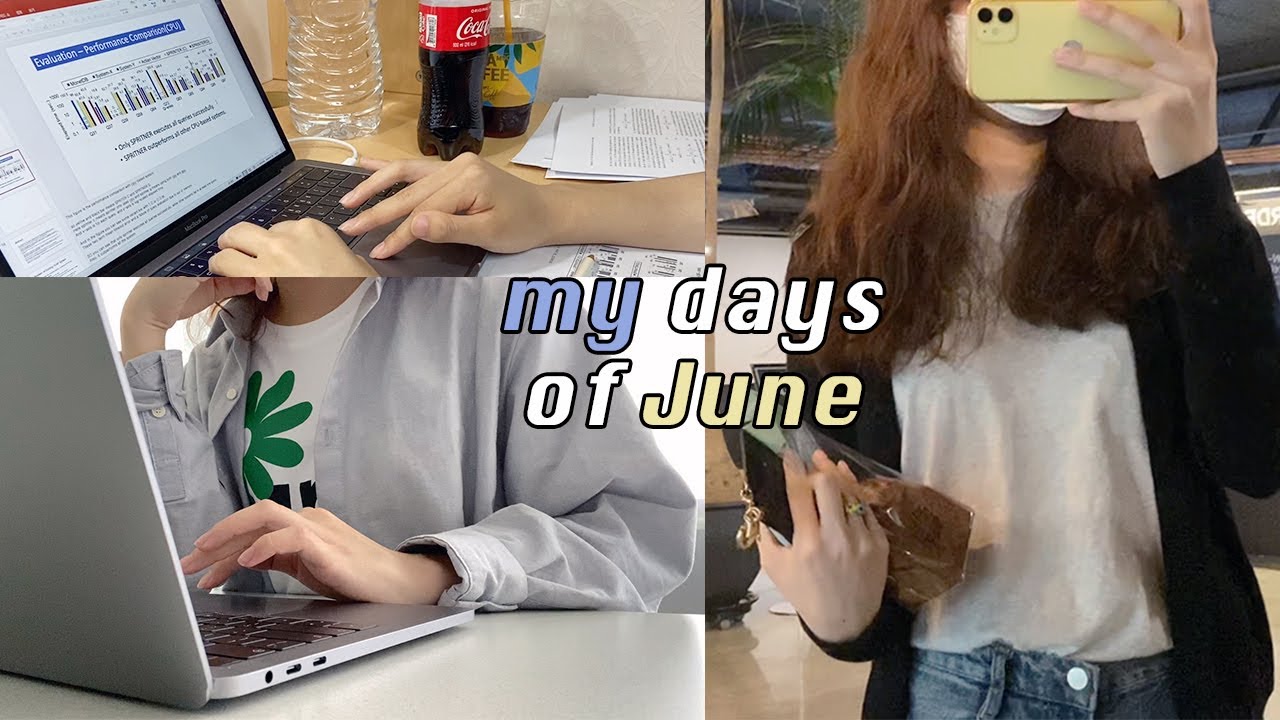 대학원생 일상 브이로그 ) 발표 준비. 조교. 차홍룸 펌. 팀플. 타로카드 구입기 ^0^